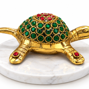 Home turtle_img_brass_stone